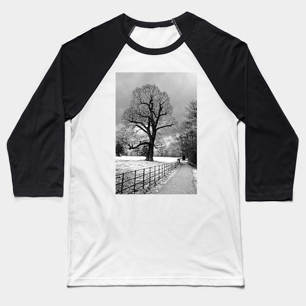 Morgaston Woods The Vyne Sherborne St John Hampshire Baseball T-Shirt by AndyEvansPhotos